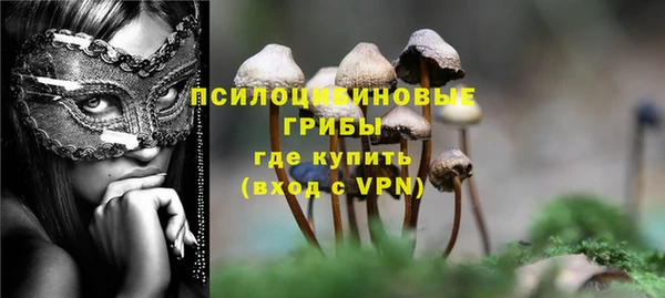 прущая мука Ельня