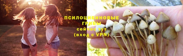 прущая мука Ельня