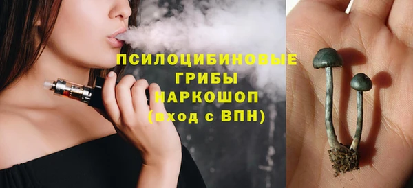 тгк Елабуга