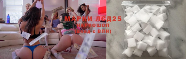 прущая мука Ельня