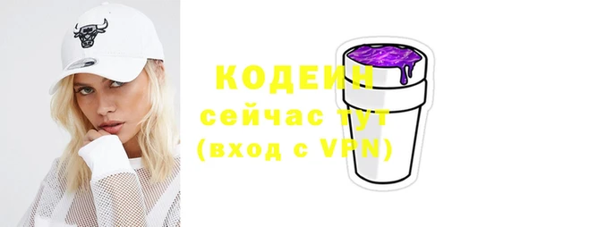МДПВ Елизово