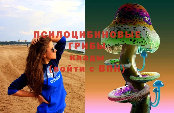 тгк Елабуга