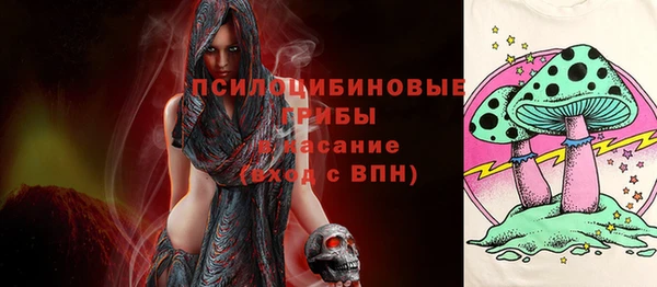 МДПВ Елизово