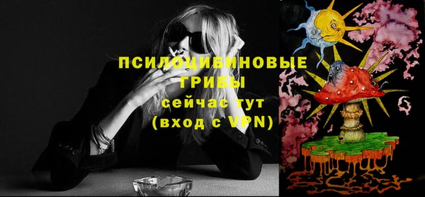 МДПВ Елизово