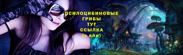 тгк Елабуга